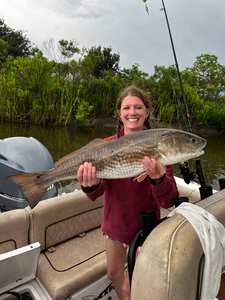 Nice redfish using deep sea jigging in Savannah! Light tackle made this one exciting.