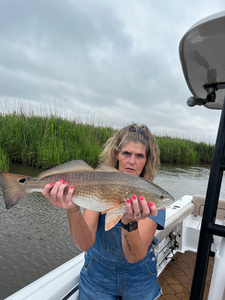 Nice redfish using light tackle in the marshes today!