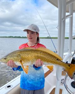 Redfish caught in GA