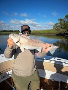 Redfish caught in GA