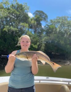 Redfish caught in Savannah by fisherman