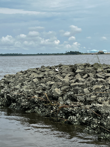 Great fishing spot with rocky shoreline and calm waters - perfect for deep sea jigging and trolling with light tackle.