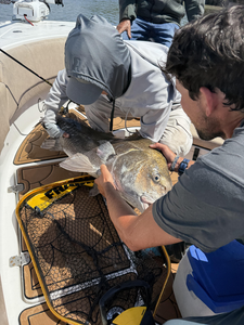 Great catch using deep sea jigging and trolling techniques in partly cloudy conditions!