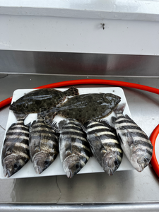 Blasted today with Southern Flounder and Sheepshead using deep sea jigging and trolling techniques!
