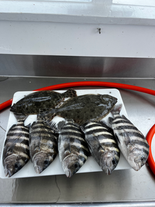 Blasted today with Southern Flounder and Sheepshead using deep sea jigging and light tackle!