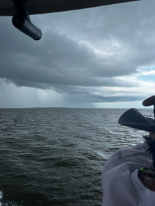 Perfect conditions for deep sea jigging and trolling with light tackle.