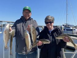 5 redfish caught in Savannah, Georgia