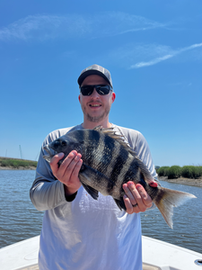 Nice sheepshead caught using deep sea jigging and trolling techniques in clear conditions.