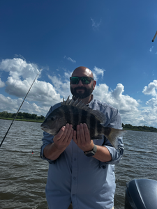 Nice sheepshead caught using deep sea jigging and light tackle in Savannah waters!