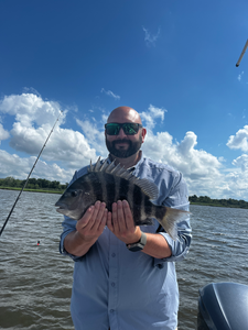 Nice sheepshead caught using deep sea jigging and light tackle techniques!