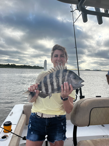 Nice sheepshead caught using light tackle techniques in Savannah waters!