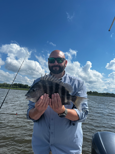 Nice sheepshead using deep sea jigging and light tackle in Savannah!
