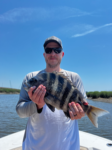 Nice sheepshead caught using light tackle in clear conditions!