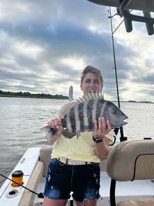 Nice sheepshead caught using deep sea jigging and light tackle techniques!