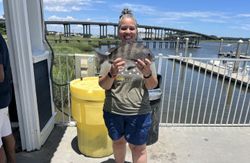 Sheepshead fish caught on a fishing tour in GA