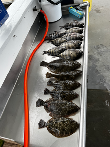 Nice southern flounder using deep sea jigging and trolling techniques.