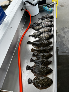 Nice trio of southern flounder using deep sea jigging and trolling techniques.