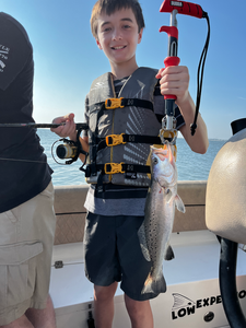 Nice speckled trout on light tackle using deep sea jigging techniques!