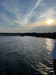 Great evening on the water using deep sea jigging and light tackle techniques. Birds were active at sunset!