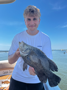 Nice tripletail caught using deep sea jigging and light tackle techniques!