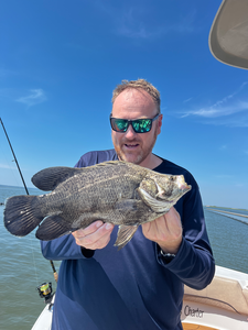 Nice tripletail caught using light tackle and jigging techniques in Savannah waters!