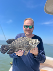 Nice tripletail caught using deep sea jigging and light tackle near Savannah!