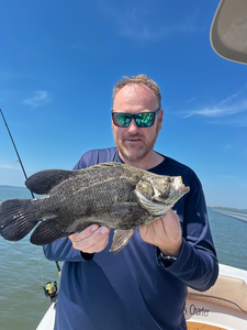 Nice tripletail using deep sea jigging and light tackle techniques!