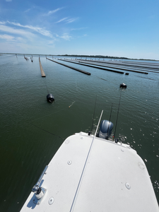Perfect setup for some exciting deep sea action near the aquaculture farm - adventure awaits!