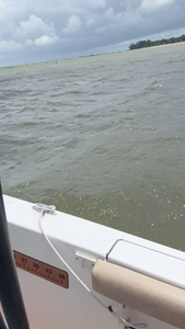 Perfect day for deep sea jigging and trolling with light tackle off Savannah!