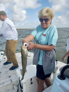Grannies Huge Sea Trout at Corpus Christi !