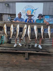 7 redfish caught during fishing cruises in Corpus Christi