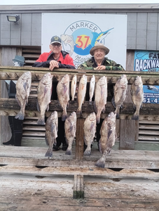A group of 9 black drum and redfish caught during a cruises and fishing trip in TX