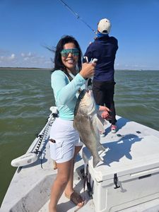 Black drum fish caught during fishing charter in Corpus Christi TX waters