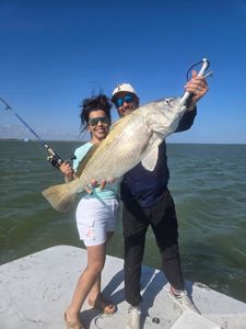 Black drum fish caught during fishing charter in Corpus Christi TX