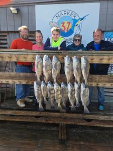 Successful black drum fishing charter displaying catch of multiple black drum in Corpus Christi TX