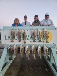 Thirteen black drum fish displayed on cleaning station after successful fishing trip in Corpus Christi TX