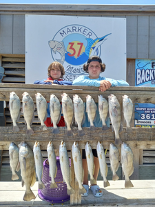 A school of 18 black drum and spotted weakfish in TX