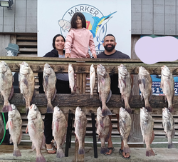17 black drum and spotted weakfish caught during a fishing trip in TX