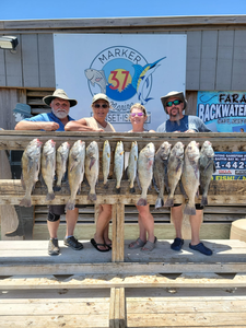 Redfish, Black Drum, and Freshwater Drum caught on a fishing trip in TX