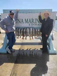 Successful fishing trip displaying catch of bass at Corpus Christi TX marina