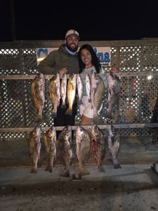 Successful fishing charter displaying multiple black drum, redfish and speckled trout catch in Corpus Christi TX