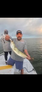 One person fishing in Corpus Christi