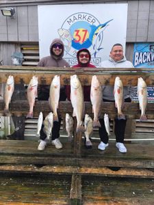 Successful fishing trip displaying multiple redfish and black drum catch in Corpus Christi TX
