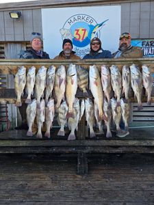 Successful fishing trip displaying multiple redfish and black drum caught in Corpus Christi TX waters
