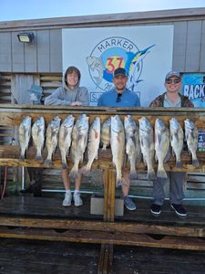 Successful fishing charter displaying twelve redfish and black drum catch at Corpus Christi Texas marina