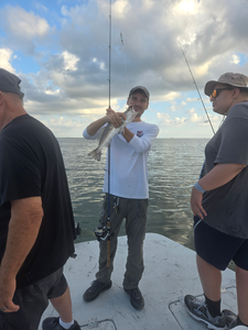 Nice catch using deep sea jigging and light tackle! Clear conditions made for perfect fishing.
