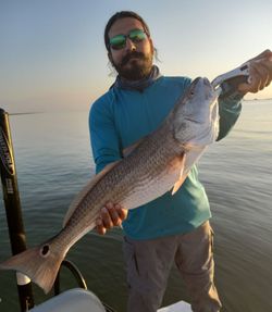 Redfish caught in Corpus Christi, Texas