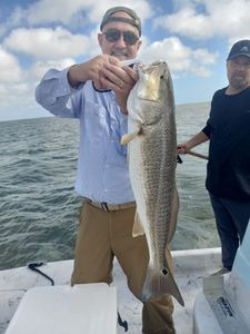 Redfish caught in TX during cruises and fishing trip