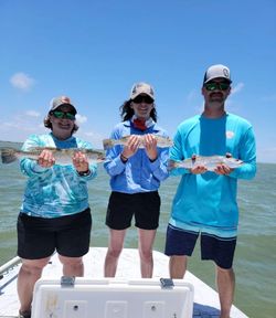 Two spotted weakfish caught during cruises and fishing in Corpus Christi
