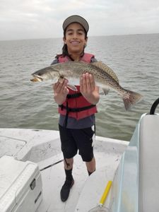Spotted weakfish caught in TX